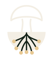 Lunaspore mushroom and mycelium logo